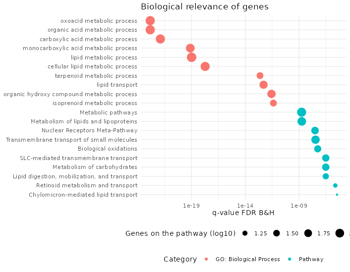 Significance of pathways on common genes in HSCT and the Howell dataset ordered by p-value, size according to the number of genes on the pathway found on the dataset and color blue for pathways and red for gene ontologies of biological process.